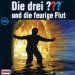Die drei Fragezeichen ...und die feurige Flut