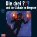 Die drei Fragezeichen und der Schatz im Bergsee