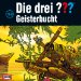 Die drei Fragezeichen Geisterbucht