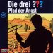 Die drei Fragezeichen Pfad der Angst