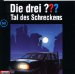 Die drei Fragezeichen - Tal des Schreckens